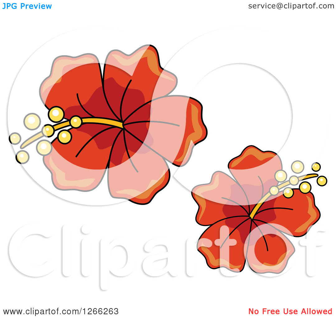 Clipart Of Red Hibiscus Flowers   Royalty Free Vector Illustration By