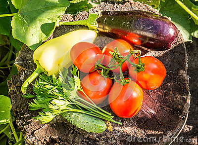 Fresh Summer Vegetables   Tomatoes Cucumber Peppers And Eggplant