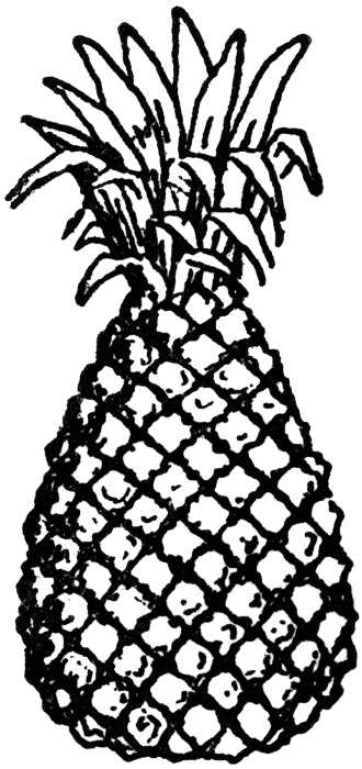     Pineapple Clipart Black And White   Clipart Panda   Free Clipart