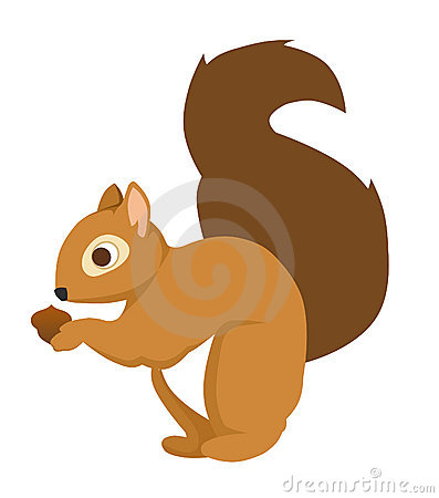 Cute Squirrel Clipart   Hvgj