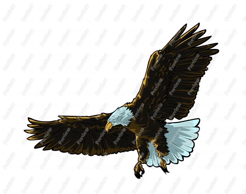 Bald Eagle Character Clip Art   Royalty Free Clipart   Vector Cartoon