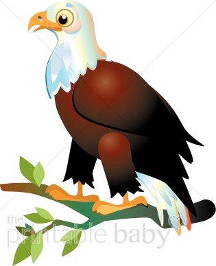 Bald Eagle Clipart   Bird Clipart