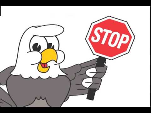 Eagle Mascot Funny Cartoon Clip Art   Youtube