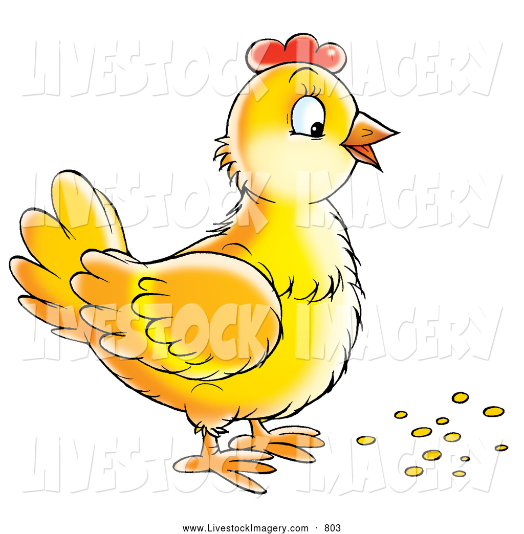 Clip Art Of A Cute Yellow Hen Standing Over Bird Seed By Alex Bannykh