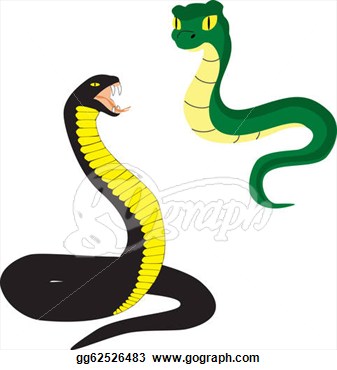 Clip Art   Two Cartoon Snakes Isolated On White Background  Stock