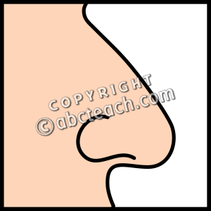Nose Clipart Black And White   Clipart Panda   Free Clipart Images