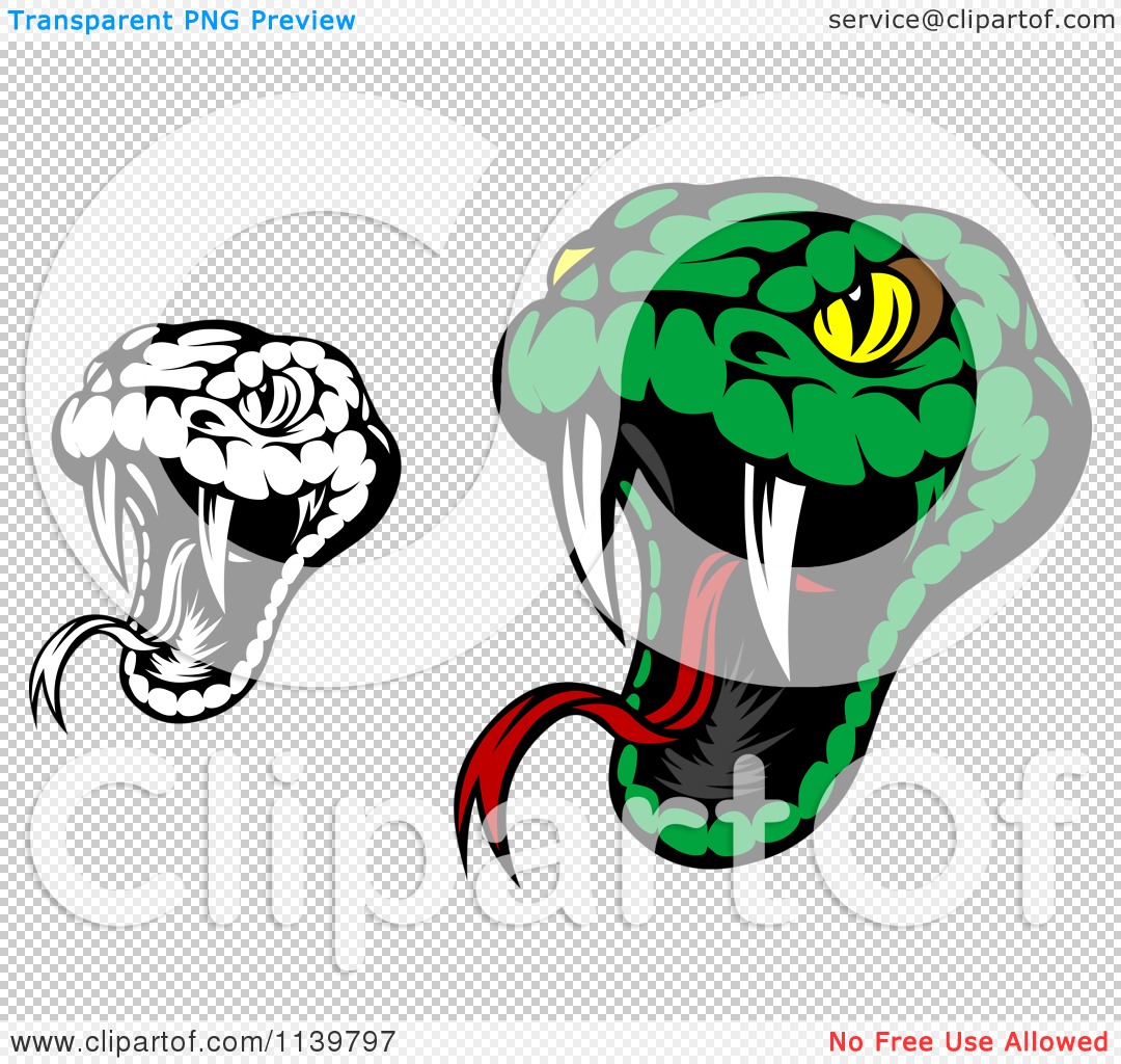Clipart Of Biting Black And White And Green Viper Snakes   Royalty