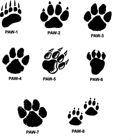 Paw Image Cougar Paw Image Xpx Cat Paw Print Clip Art Cat Paw Print