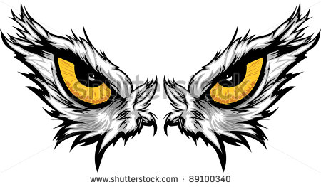 Cartoon Vector Mascot Image Of An Eagle Eyes   89100340   Shutterstock