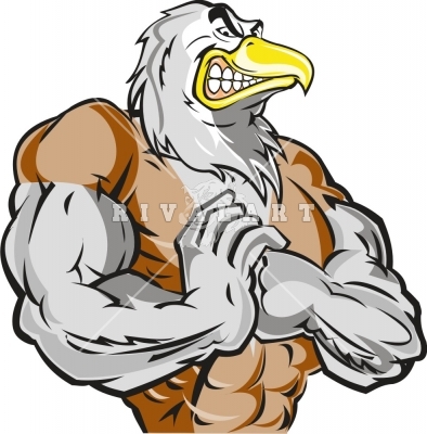 Mean Eagle Clip Art Source  Http   Www Stockofimages Com Files Mean