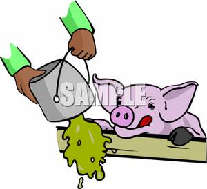 Man Slopping A Pig   Royalty Free Clipart Picture