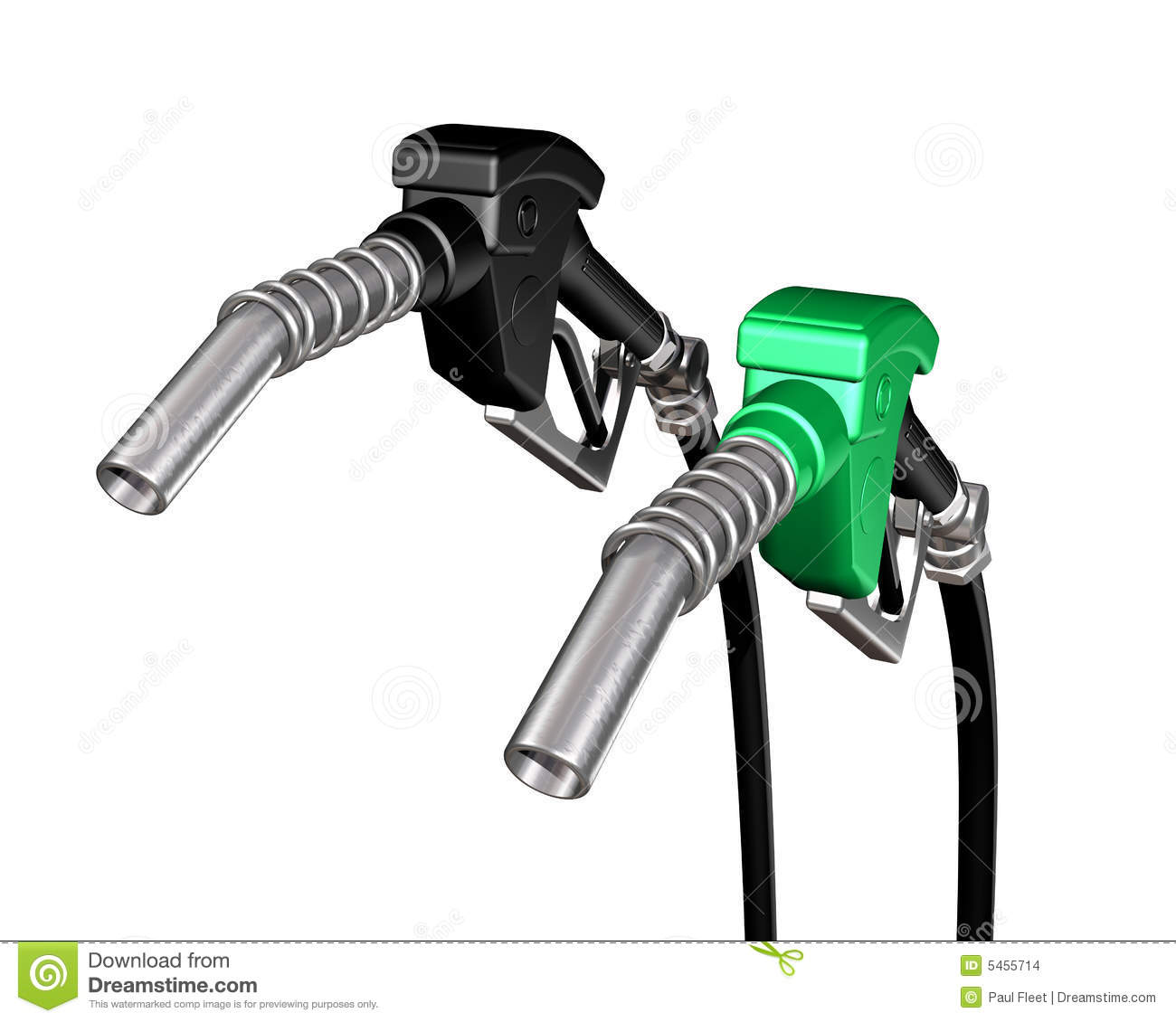 One Diesel And One Gasoline Pump Nozzle Stock Images   Image  5455714