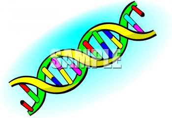 There Is 21 Clip Art For Obesity And Genetics   Free Cliparts All Used