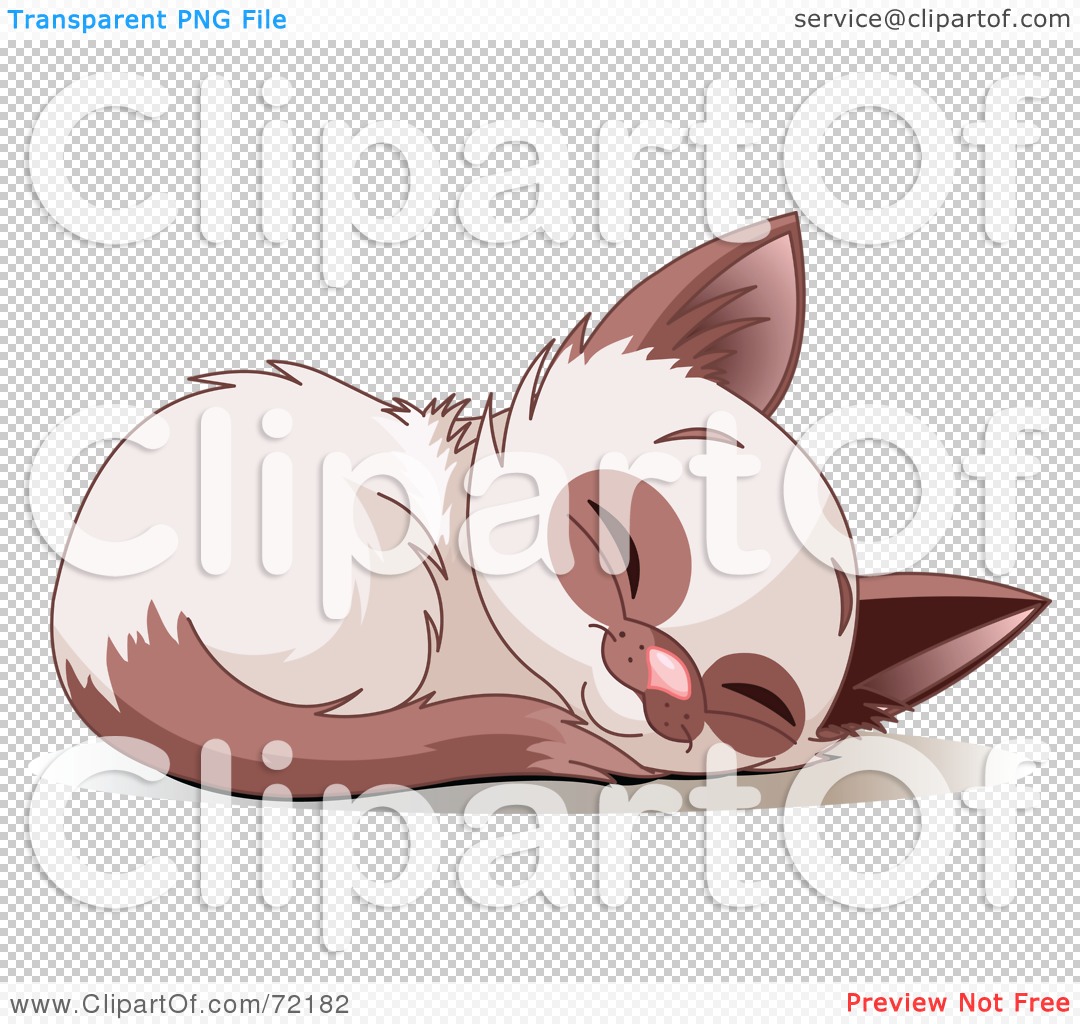 Rf  Clipart Illustration Of A Cute Siamese Kitten Curled Up And Sound
