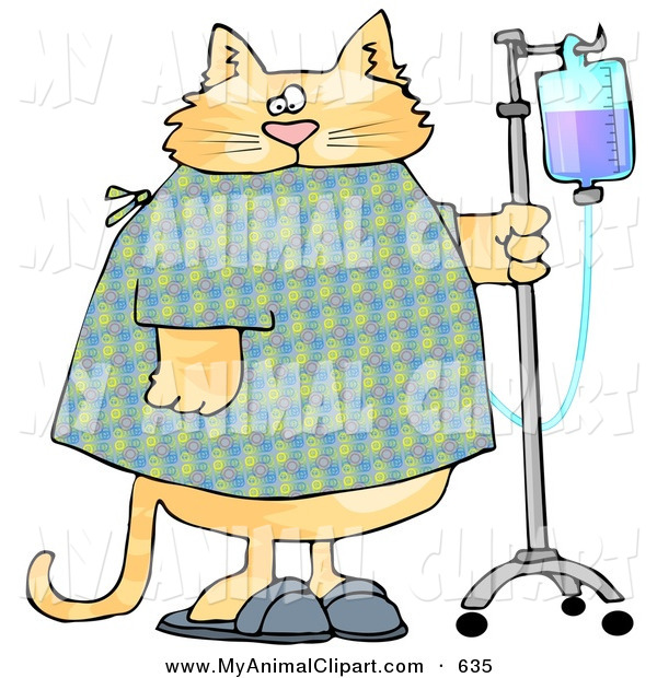 Clip Art Of A Chubby Orange Tabby Cat With An Iv Dispenser In A