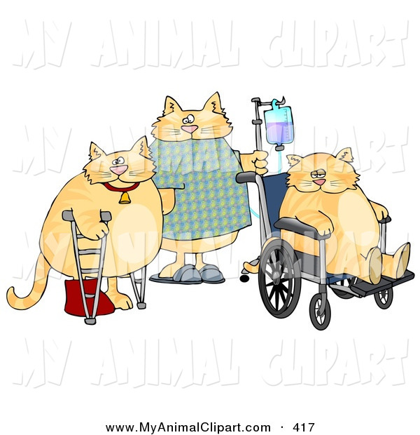 Clip Art Of A Trio Of Orange Cats With Iv Dispensers Crutches Casts