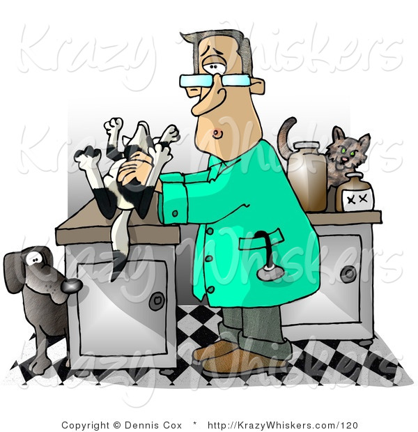 Critter Clipart Of A Male Veterinarian With A Dead Dog On His Clinic