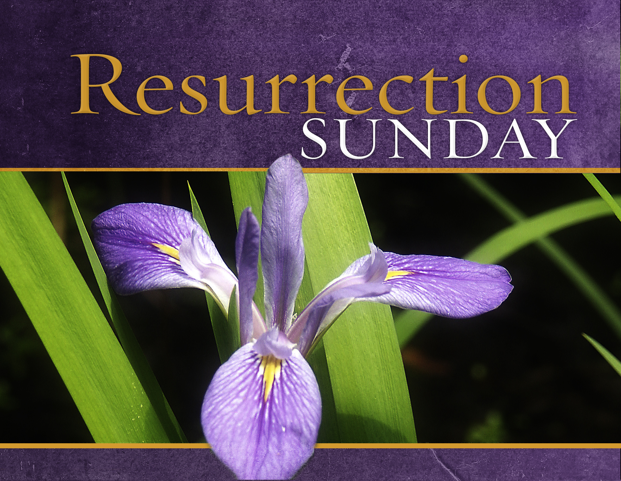 Easter Resurrection Resurrection Sunday Easter