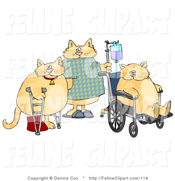Feline Clip Art Of A Three Hospitalized Orange Cats With Iv Dispensers