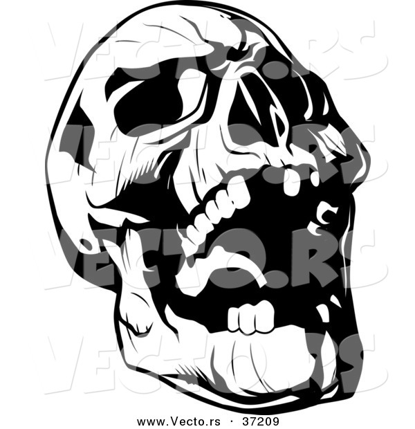 Vector Of Evil Skull Laughing   Black And White Line Art By Lawrence