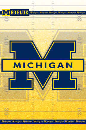 University Of Michigan Wolverines College Football Team Logo Poster