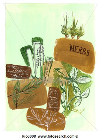 Illustration   Herbs And Spices  Fotosearch   Search Eps Clip Art
