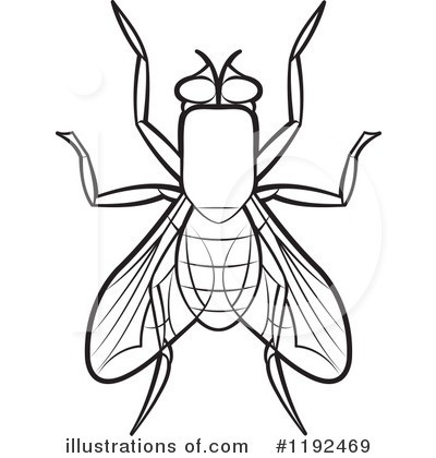 Royalty Free  Rf  House Fly Clipart Illustration By Lal Perera   Stock