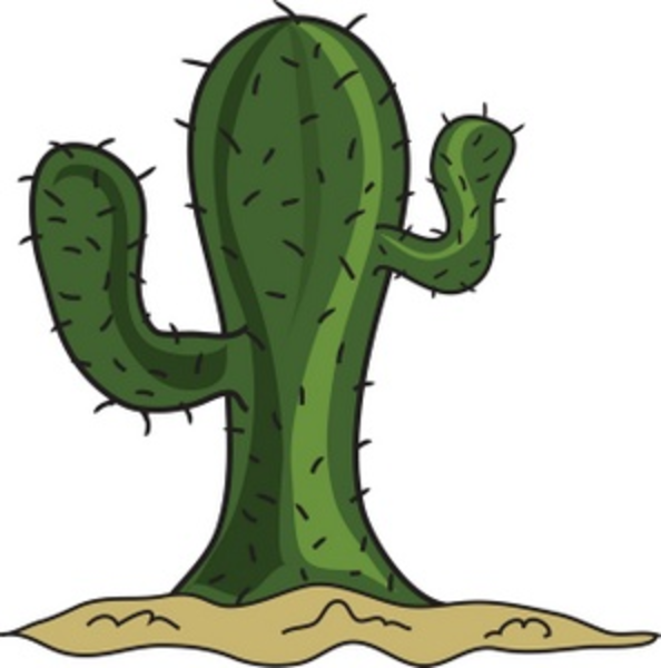 Mexican Cactus Cartoon Cartoon Cactus Smu Image