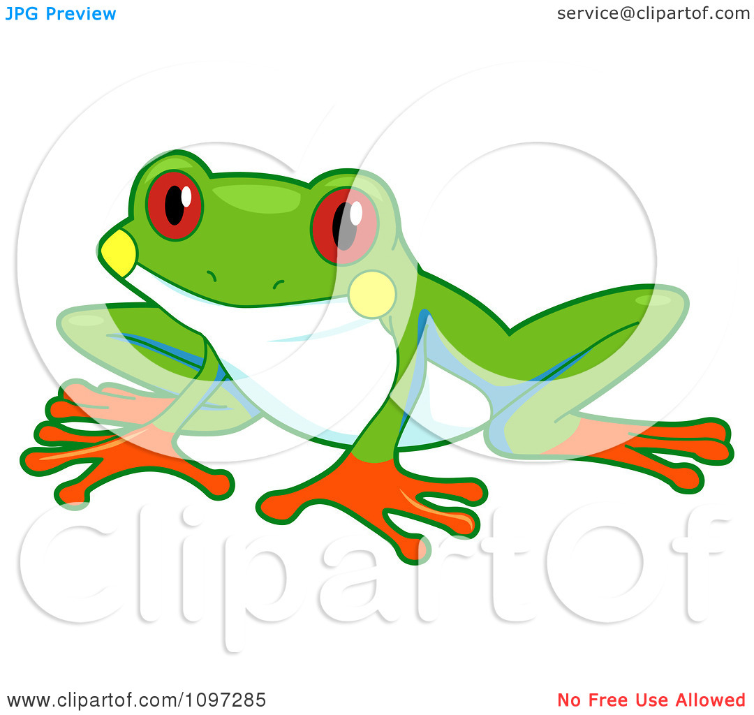 Tree Frog Clipart Clipart Cute Red Eyed Tree Frog Royalty Free Vector