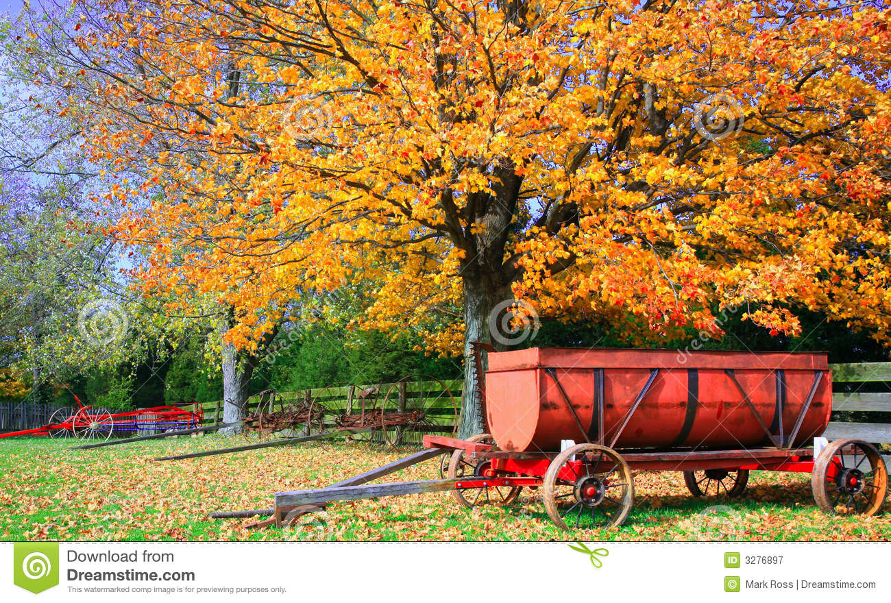 Autumn Farm Scene With Antique Farm Equipment