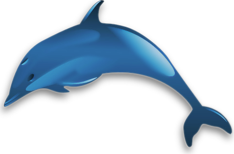 Dolphin Glossy Blue    Animals Aquatic Dolphin Dolphins 2 Dolphin    