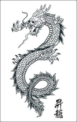 Tribal Tattoos Designs  Japanese Dragon Tattoo