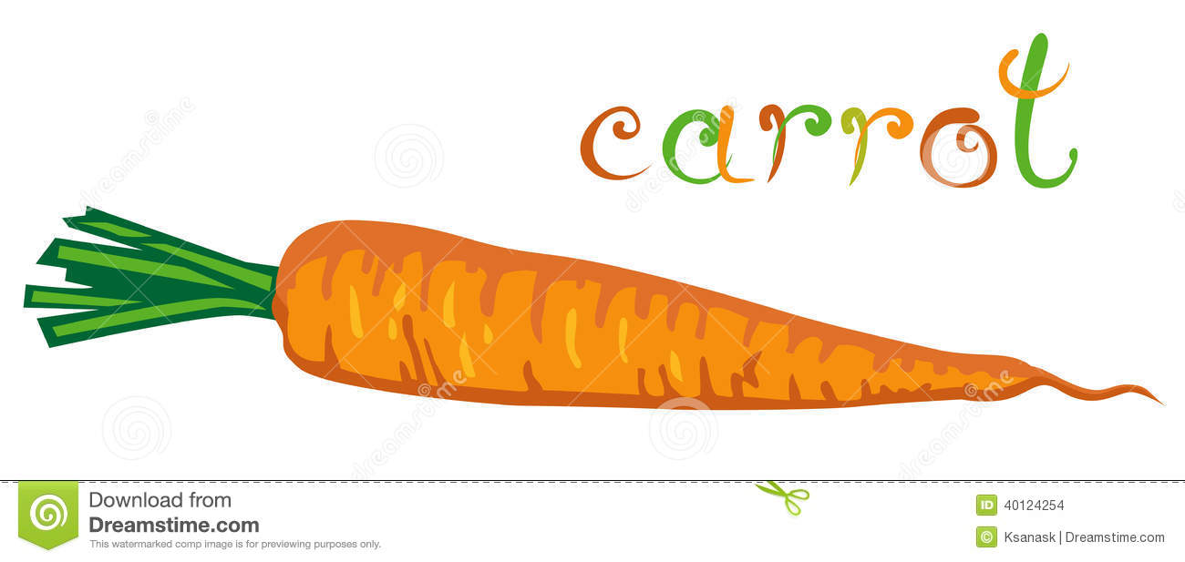 Of Fresh Vegetable  Cartoon Orange Carrot Without Leaves  Clip Art