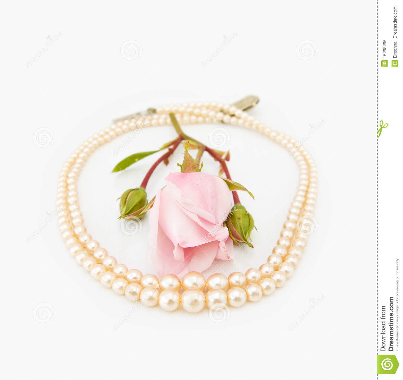 Pink Pearls Clipart Vintage Pearls With Pink Rose
