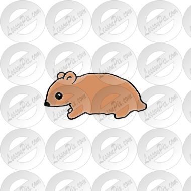Gerbil Picture For Classroom   Therapy Use   Great Gerbil Clipart