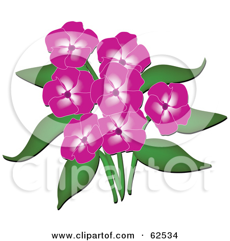 Rf  Clipart Illustration Of A Beautiful Pink Phlox Flowers And Green