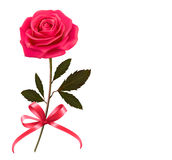 Background With Rose And A Bow  Royalty Free Stock Photography