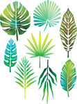 Leaves Vector Clip Art Eps Images  9965 Tropical Leaves Clipart