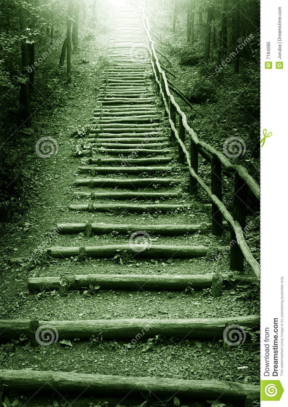 Stairway To Heaven In Mystic Forest