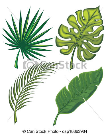 Vector Of Set Of Tropical Leaves   Collection Of Leaves Csp18863984