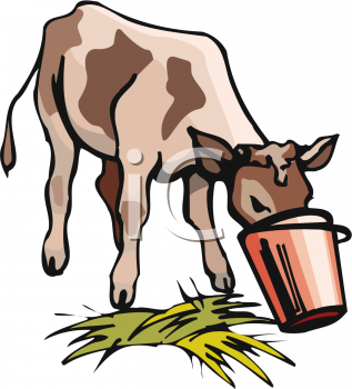 Find Clipart Calf Clipart Image 13 Of 20