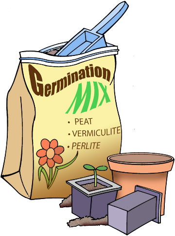 Germination Time Snapdragon Seeds