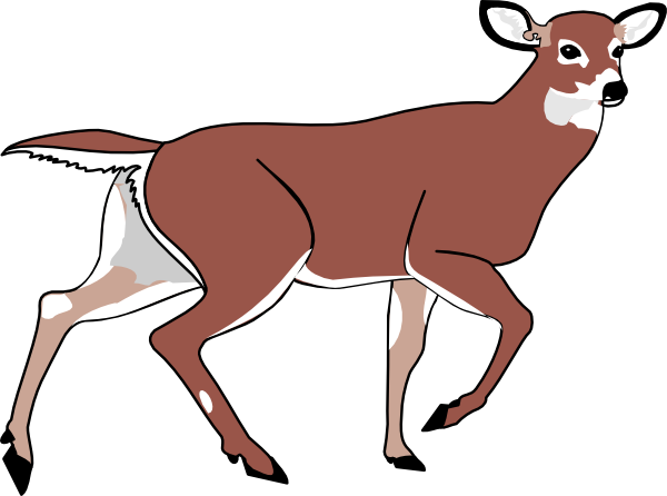 Deer Clip Art At Clker Com   Vector Clip Art Online Royalty Free