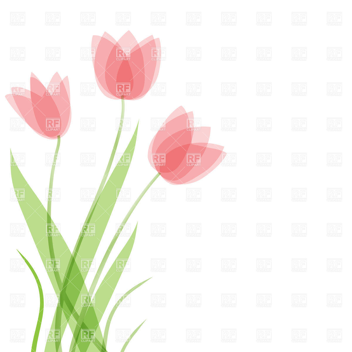 Three Tulip Flowers Download Royalty Free Vector Clipart  Eps