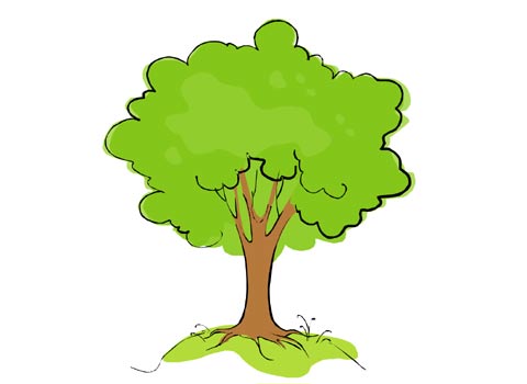 Cartoon Tree Drawing Free Cliparts That You Can Download To You