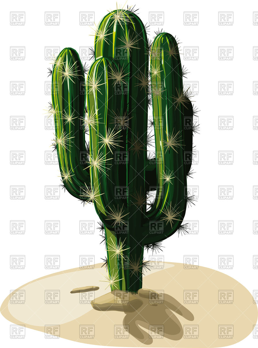 Mexican Cactus 94108 Download Royalty Free Vector Clipart  Eps