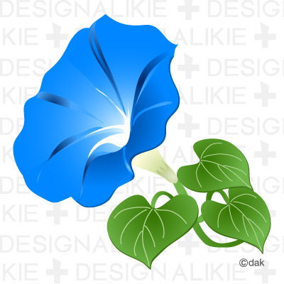 Morning Glory Flower Pictures Of Clipart And Graphic Design And