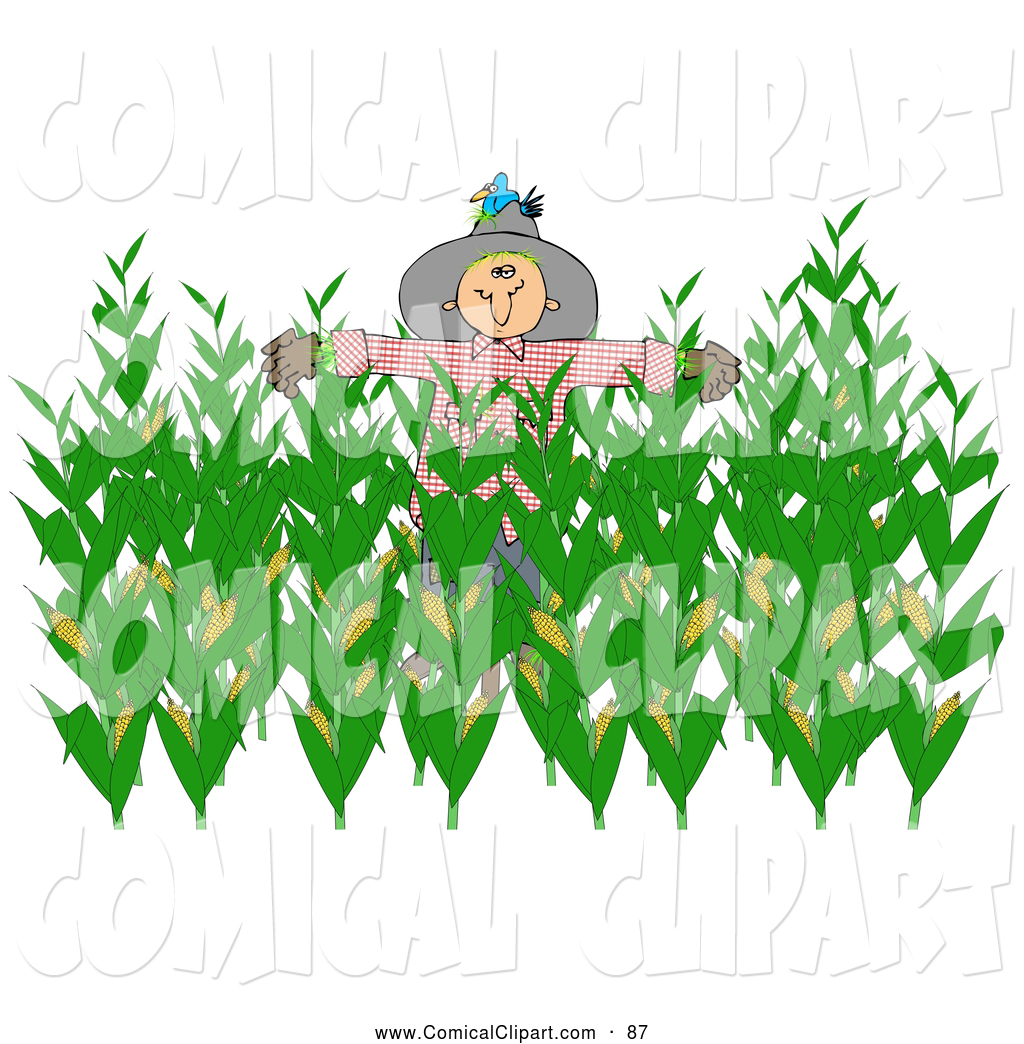 Comical Clip Art Of A Scarecrow In A Harvest Corn Field By Djart    87