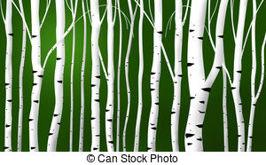 Abstract Birch Stems Background   Abstract Birch Stems