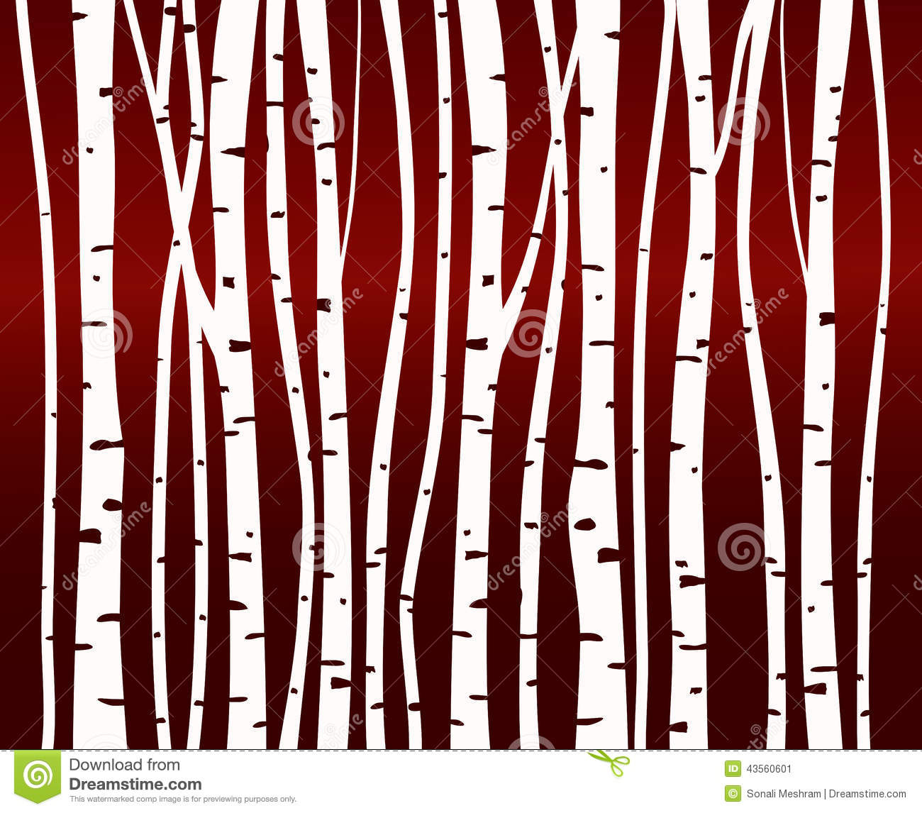 Birch Tree Forest Pattern Stock Illustration   Image  43560601